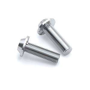 Alın Civatası M10x30